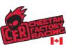 CheetahFactoryRacing